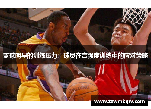 篮球明星的训练压力：球员在高强度训练中的应对策略