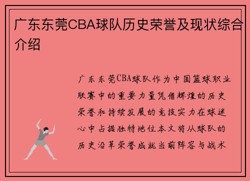 广东东莞CBA球队历史荣誉及现状综合介绍