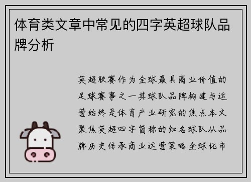 体育类文章中常见的四字英超球队品牌分析