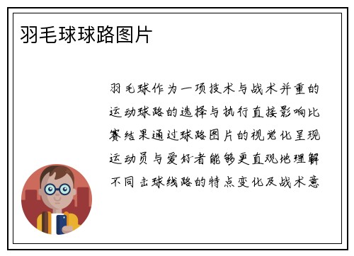 羽毛球球路图片
